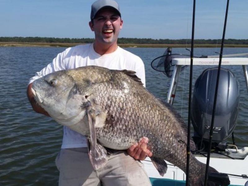 Jacksonville Fishing Charters | Max of 3 Persons
